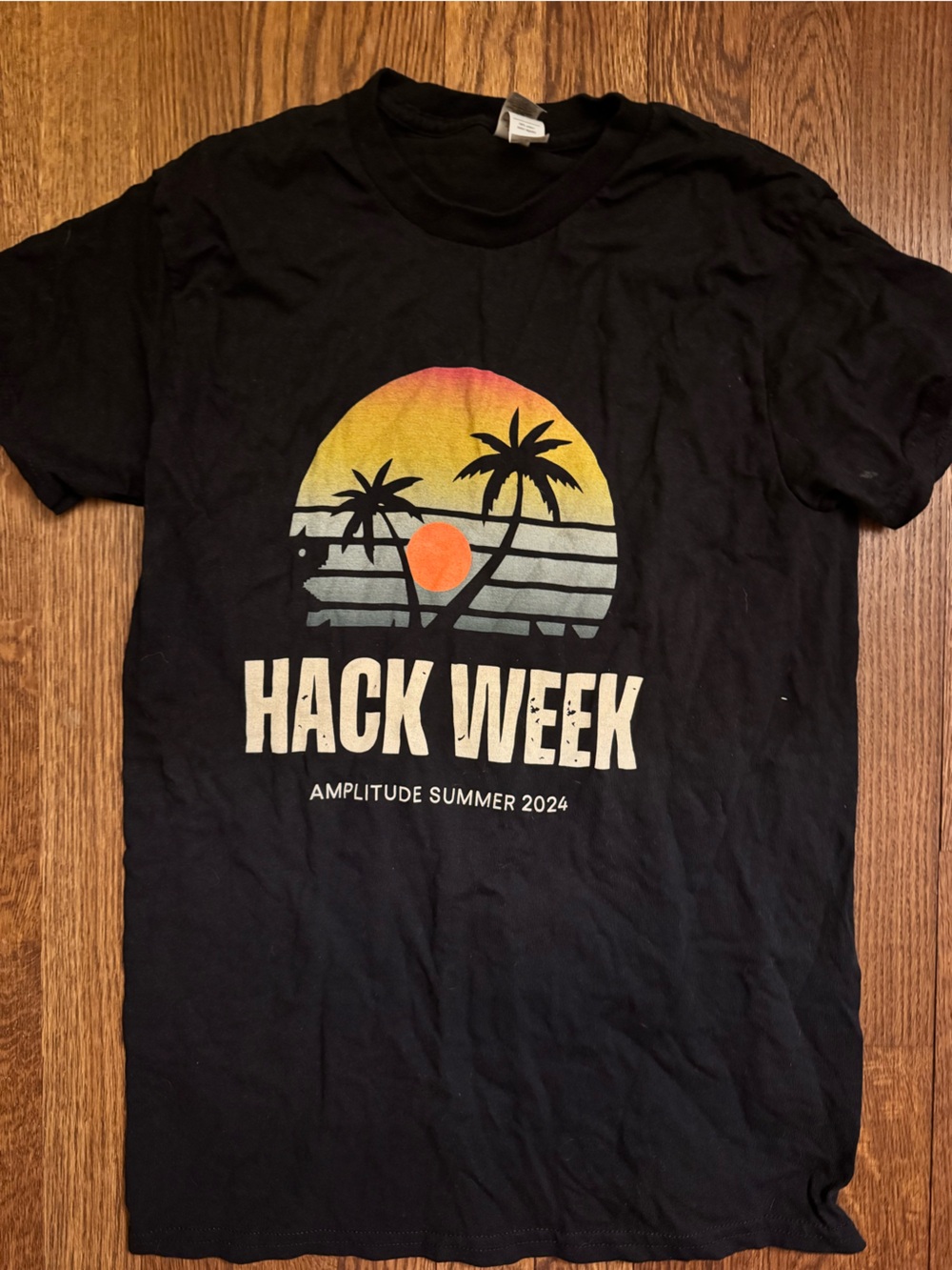 Gildan Black Tee with Sunset Palm Graphic